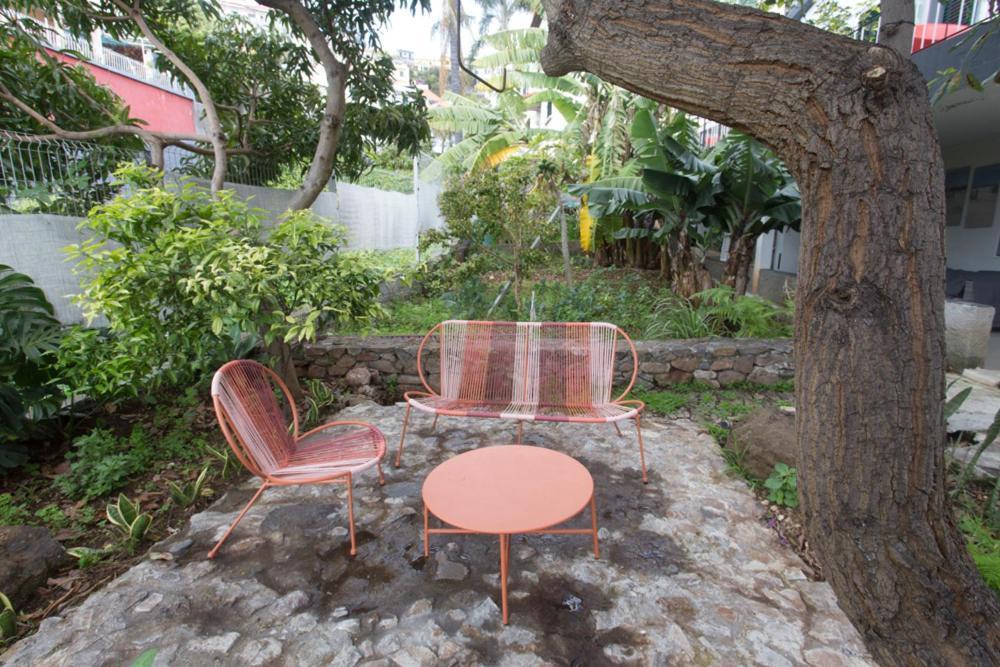 Rochinha Cozy Home Funchal  Eksteriør bilde