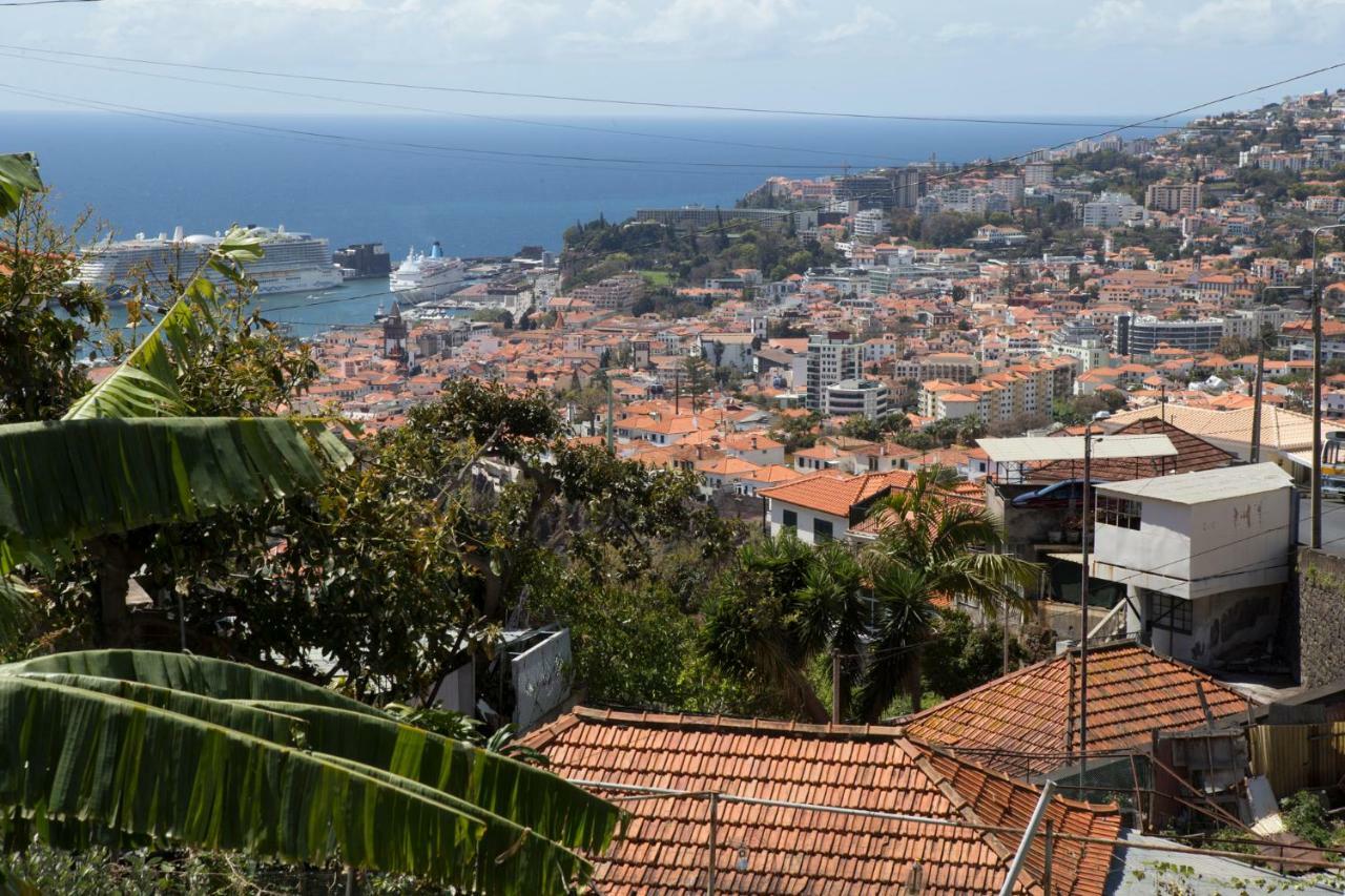 Rochinha Cozy Home Funchal  Eksteriør bilde