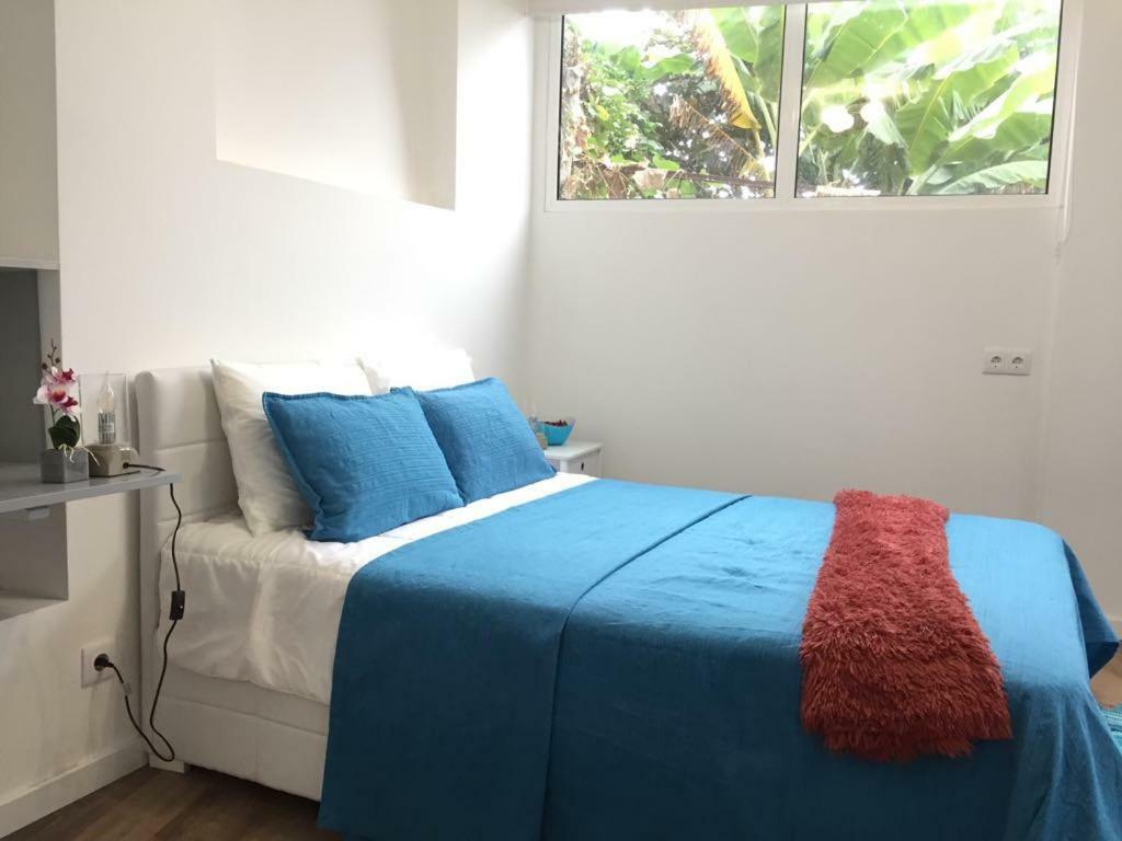 Rochinha Cozy Home Funchal  Eksteriør bilde